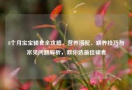 8个月宝宝辅食全攻略，营养搭配、喂养技巧与常见问题解析，教你选更佳辅食