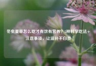 冬虫夏草怎么吃才有效有营养？5种科学吃法+注意事项，让滋补不白费