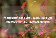 王者荣耀打野英雄全解析，从刺客到射手谁能掌控野区节奏？可以打野的英雄都有哪些？