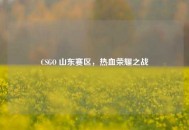 CSGO 山东赛区，热血荣耀之战