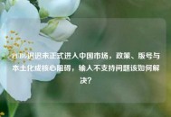 PUBG迟迟未正式进入中国市场，政策、版号与本土化成核心阻碍，输入不支持问题该如何解决？