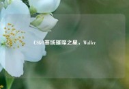 CSGO赛场璀璨之星，Waller