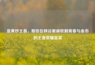 韭黄炒王者，那些在峡谷里被收割青春与金币的王者荣耀韭菜