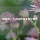 章俊彦，大山深处的文化守夜人