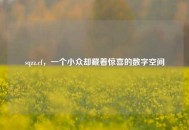 sqzz.cf，一个小众却藏着惊喜的数字空间