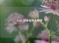 Steam 好听名称大探寻