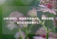 山田1型息肉，肠道里的温和小丘，良性却需警惕的息肉到底是什么？