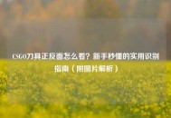 CSGO刀具正反面怎么看？新手秒懂的实用识别指南（附图片解析）