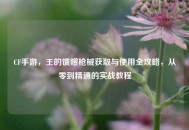 CF手游，王的馈赠枪械获取与使用全攻略，从零到精通的实战教程