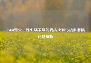 CSGO野火，野火烧不尽的竞技火种与皮肤磨损问题解析