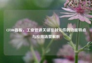 CF100盲板，工业管道关键密封元件的功能特点与应用场景解析
