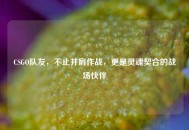 CSGO队友，不止并肩作战，更是灵魂契合的战场伙伴