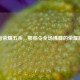 王者荣耀五杀，那些令全场沸腾的荣耀瞬间