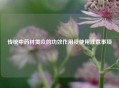 传统中药材贯众的功效作用及使用注意事项