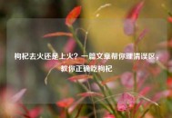 枸杞去火还是上火？一篇文章帮你理清误区，教你正确吃枸杞