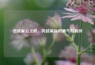 逆战星云之桥，跨越星际的勇气与羁绊