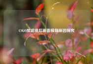 CSGO加滤镜后画面模糊原因探究