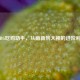 PUBG吃鸡助手，从萌新到大神的进阶利器