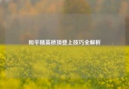 和平精英桥顶登上技巧全解析