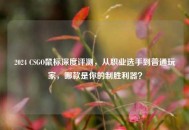 2024 CSGO鼠标深度评测，从职业选手到普通玩家，哪款是你的制胜利器？