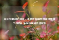 PUBG蜂刺甜心眼镜，手游吃鸡辅助按键是物理外挂吗？争议与实用价值解析