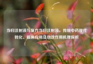当归注射液与复方当归注射液，传统中药现代转化、临床应用及功效作用机理探析