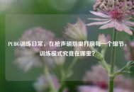 PUBG训练日常，在枪声硝烟里打磨每一个细节，训练模式究竟在哪里？