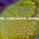 六鸡四鸭，小院烟火里的生机，究竟是哪些菜？