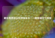 藏在粤西深山中的绿宝石——思贺镇天气预报