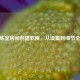 CF训练室房间创建教程，从设置到细节全解析