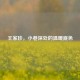 王家珍，小巷深处的温暖底色