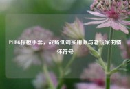 PUBG棕橙手套，战场低调实用派与老玩家的情怀符号