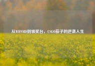 从WDNMD到领奖台，CSGO茄子的逆袭人生