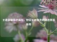 王者荣耀韩信海报，野区长枪游龙的飘逸刺客传奇