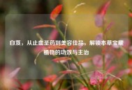 白芨，从止血圣药到美容佳品，解锁本草宝藏植物的功效与主治
