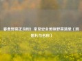 春食野菜正当时！常见安全美味野菜清单（附图片与名称）