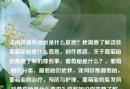 该问题葡萄胎胎是什么意思？我需要了解这些葡萄胎胎是什么意思，创作思路，关于葡萄胎你需要了解的那些事，葡萄胎是什么？，葡萄胎的分类，葡萄胎的症状，如何诊断葡萄胎，葡萄胎的治疗，预防与护理，葡萄胎的复发风险葡萄胎是什么意思？这些知识你需要了解，什么是葡萄胎，葡萄胎的类型，葡萄胎的症状，如何诊断葡萄胎，葡萄胎的治疗 *** ，葡萄胎的预防与护理，葡萄胎的复发风险，是我需要生成标题的相关信息，我需要一个能涵盖 这些内容的标题，要求简洁、吸引人、能概括核心内容，用户需要一个能涵盖葡萄胎相关内容的标题，要求简洁、