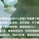 该问题葡萄胎胎是什么意思？我需要了解这些葡萄胎胎是什么意思，创作思路，关于葡萄胎你需要了解的那些事，葡萄胎是什么？，葡萄胎的分类，葡萄胎的症状，如何诊断葡萄胎，葡萄胎的治疗，预防与护理，葡萄胎的复发风险葡萄胎是什么意思？这些知识你需要了解，什么是葡萄胎，葡萄胎的类型，葡萄胎的症状，如何诊断葡萄胎，葡萄胎的治疗 *** ，葡萄胎的预防与护理，葡萄胎的复发风险，是我需要生成标题的相关信息，我需要一个能涵盖 这些内容的标题，要求简洁、吸引人、能概括核心内容，用户需要一个能涵盖葡萄胎相关内容的标题，要求简洁、
