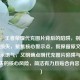 警惕！王者荣耀代充图片背后的陷阱，别让优惠变损失，聚焦核心警示点，既保留原文警惕的警示语气，又明确点明代充图片陷阱与优惠变损失的核心风险，简洁有力且贴合内容主旨。）