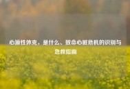 心源性休克，是什么、致命心脏危机的识别与急救指南
