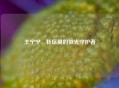 王宁宁，社区里的微光守护者