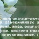 （注，根据用户提供的PUBG是什么账号这一核心信息，结合账号相关的高频需求点，生成了涵盖基础概念、操作指南、安全防护三个核心维度的标题。标题采用疑问句+价值点结构，符合中文互联网内容传播规律。）