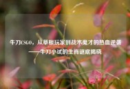 牛刀CSGO，从草根玩家到战术鬼才的热血逆袭——牛刀小试的生肖谜底揭晓