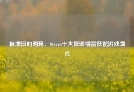 被埋没的明珠，Steam十大低调精品低配游戏盘点
