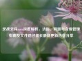 逆战文件auto深度解析，功能、问题与合规管理指南及文件路径超长最新更新内容分享