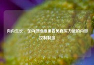向内生长，在内部维度里看见真实力量的内部控制制度