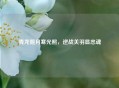 青龙偃月寒光照，逆战关羽显忠魂