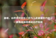 曲霉，自然界的隐形工匠与人类健康双刃剑——曲霉菌肺部感染治疗指南