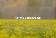 代打王者荣耀的含义解析