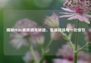 揭秘PUBG画质调亮秘籍，看清战场每一处细节